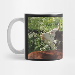 Cowparsley Feast Mug